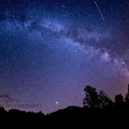 La Terrasse - A Tranquil Place In The Woodland Feriehus