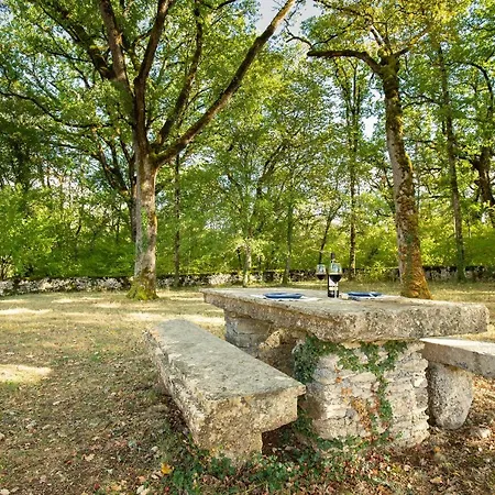 펜션 La Terrasse - A Tranquil Place In The Woodland