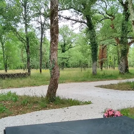 La Terrasse - A Tranquil Place In The Woodland Casa de Férias *