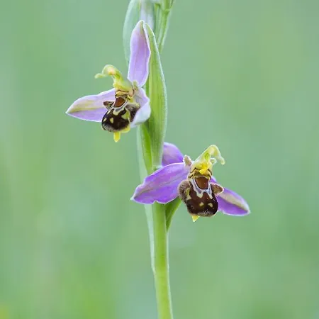 La Terrasse - A Tranquil Place In The Woodland *